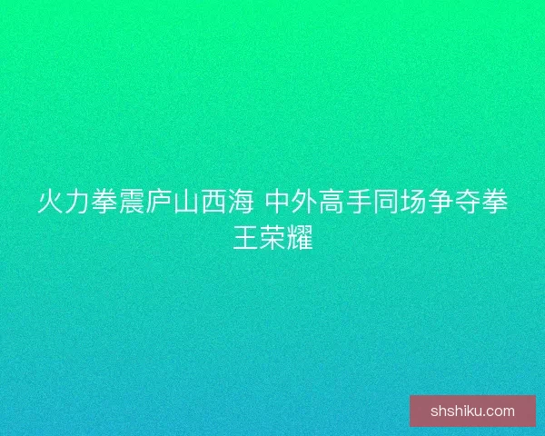 火力拳震庐山西海 中外高手同场争夺拳王荣耀