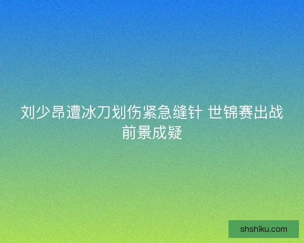刘少昂遭冰刀划伤紧急缝针 世锦赛出战前景成疑